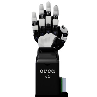 Orca